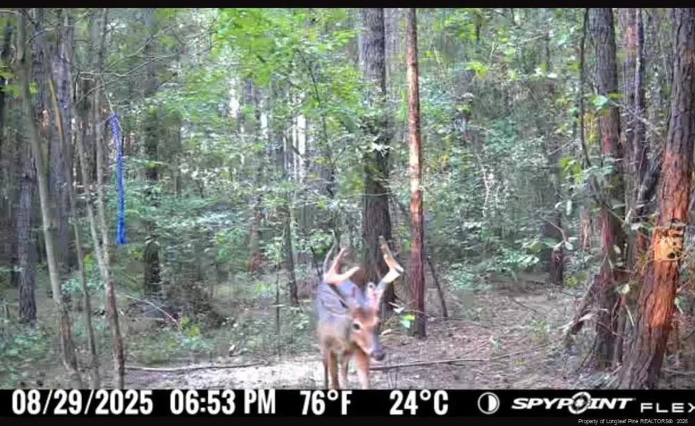 21181 Traders Road Laurel Hill, NC 28351