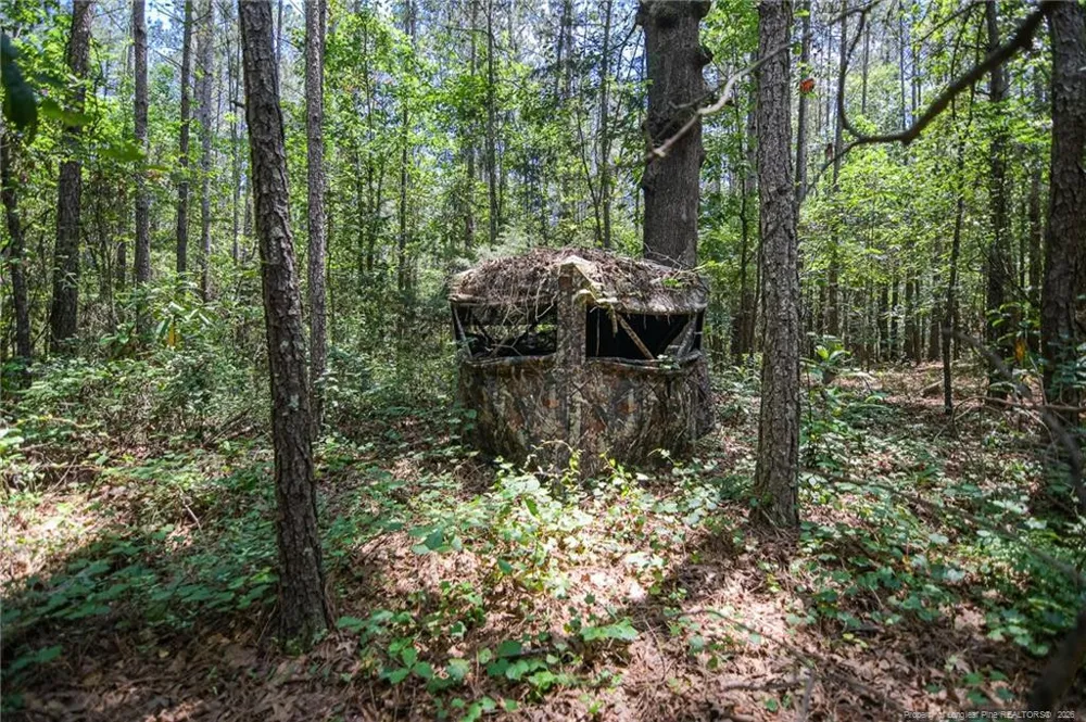 21181 Traders Road Laurel Hill, NC 28351