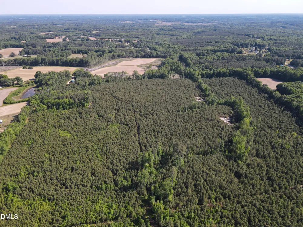 #8 Julie Mcknight Road Kittrell, NC 27544