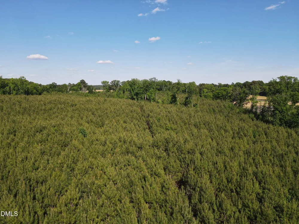 #8 Julie Mcknight Road Kittrell, NC 27544
