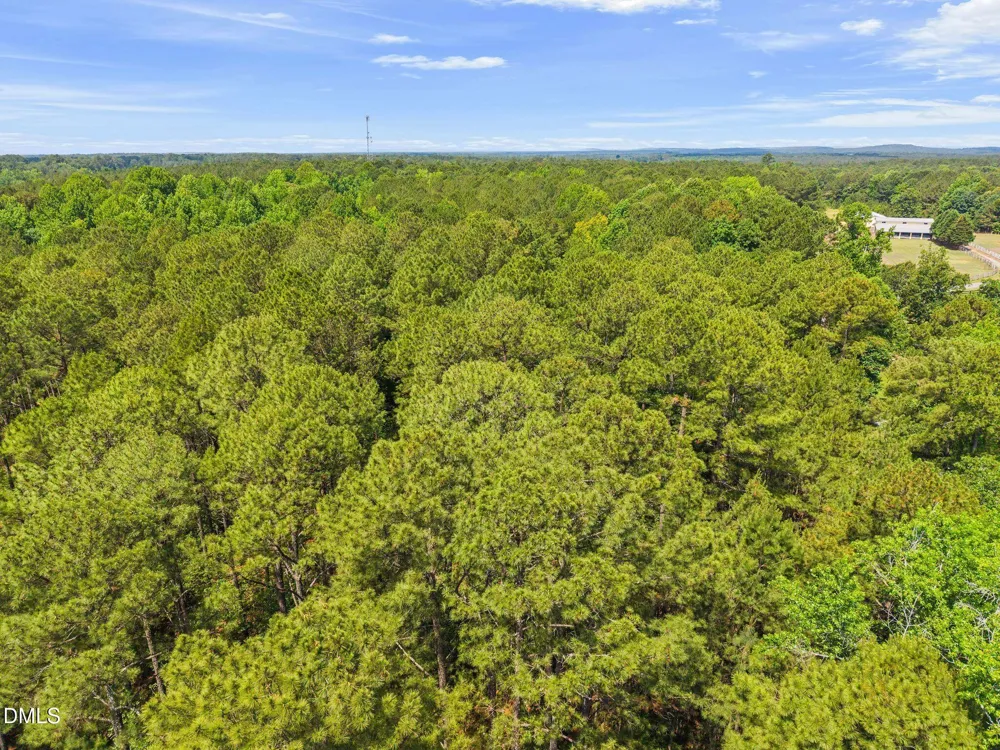 87 Masonry Lane New Hill, NC 27562