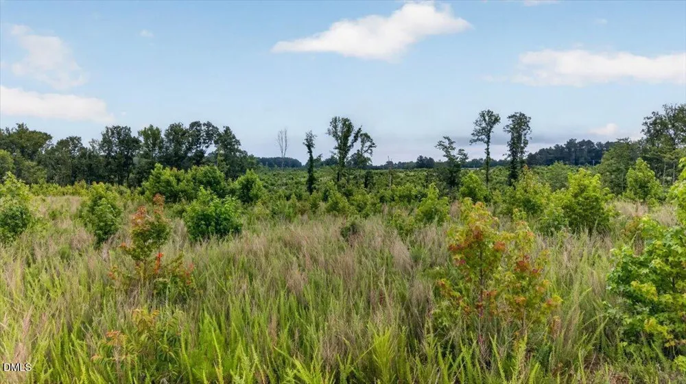 B3-65-73 Burchette Road Manson, NC 27553