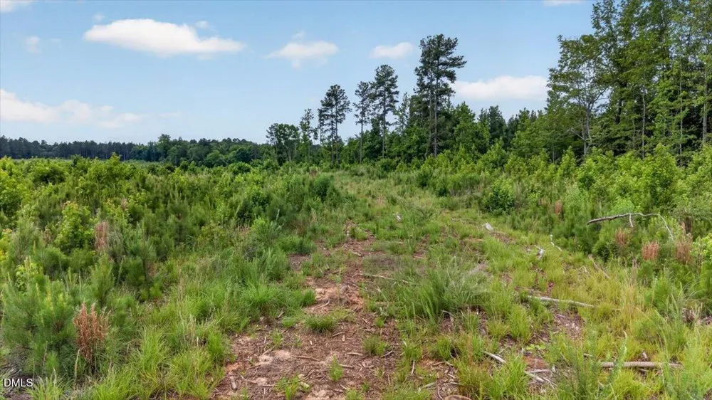B3-65-73 Burchette Road Manson, NC 27553