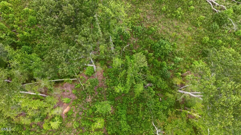 B3-65-73 Burchette Road Manson, NC 27553