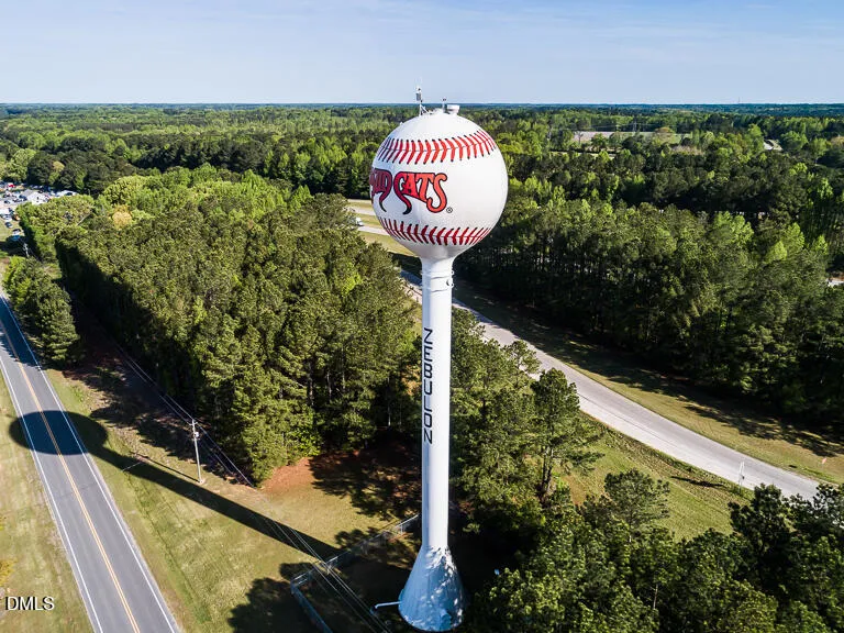 304 Sweetbay Tree Drive Wendell, NC 27591