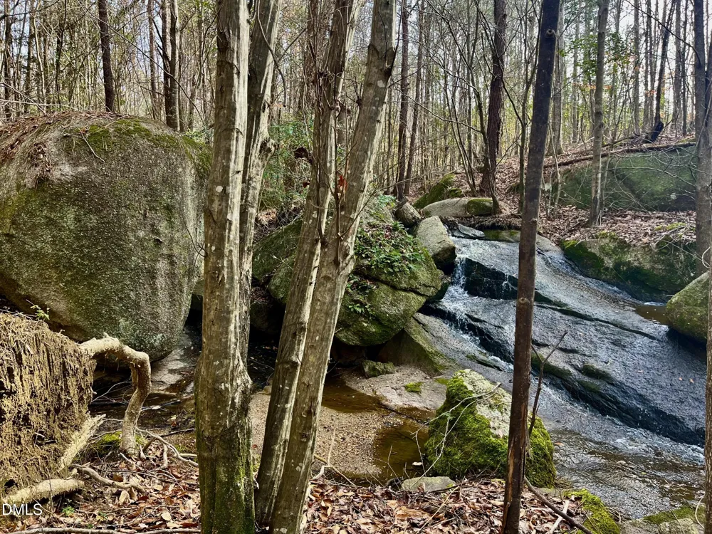 9035 New Sandy Hill Church Road Bailey, NC 27807