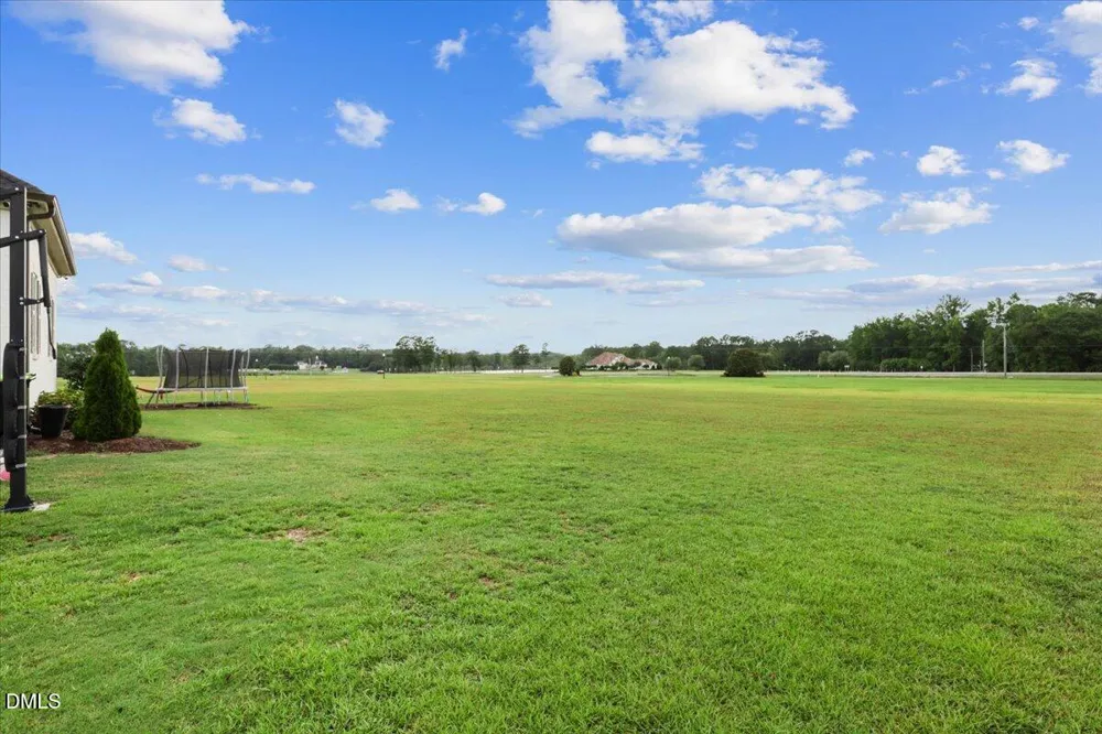 65 Cedar Springs Drive Princeton, NC 27569