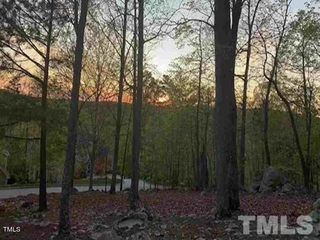 39410 Glenn Glade Chapel Hill, NC 27517