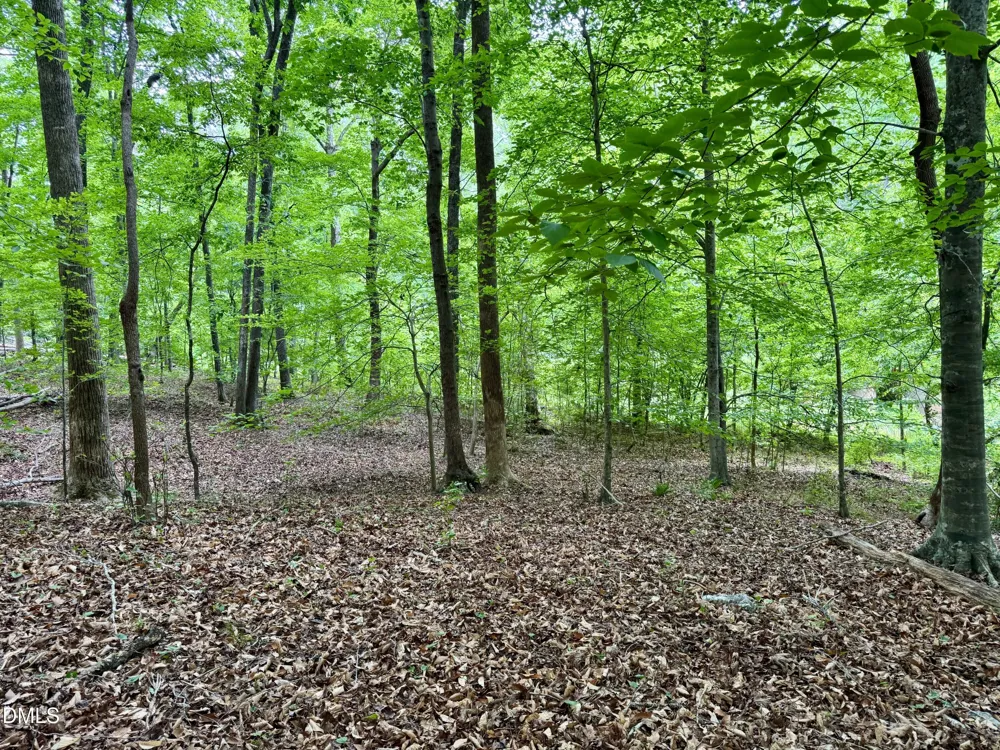 1025 Dairyland Road Chapel Hill, NC 27516