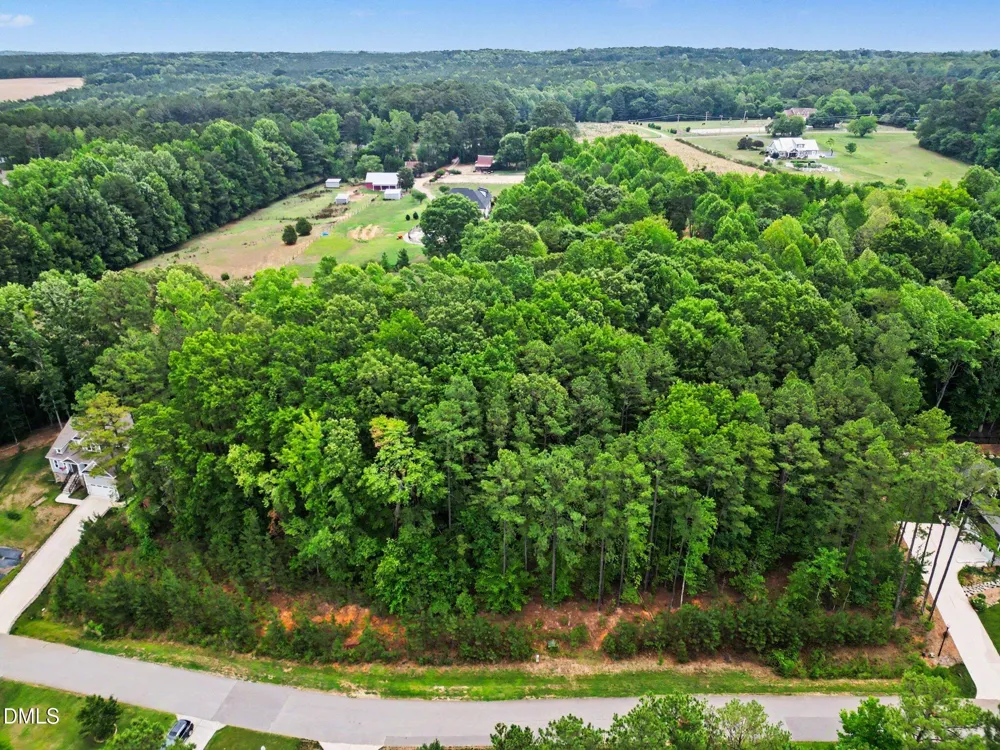 9004 Patmos Way Wake Forest, NC 27587