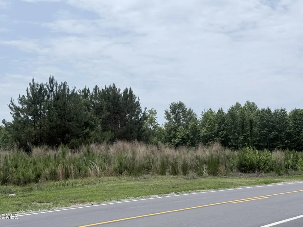 Phase 3 E Jewett Avenue Bunn, NC 27508