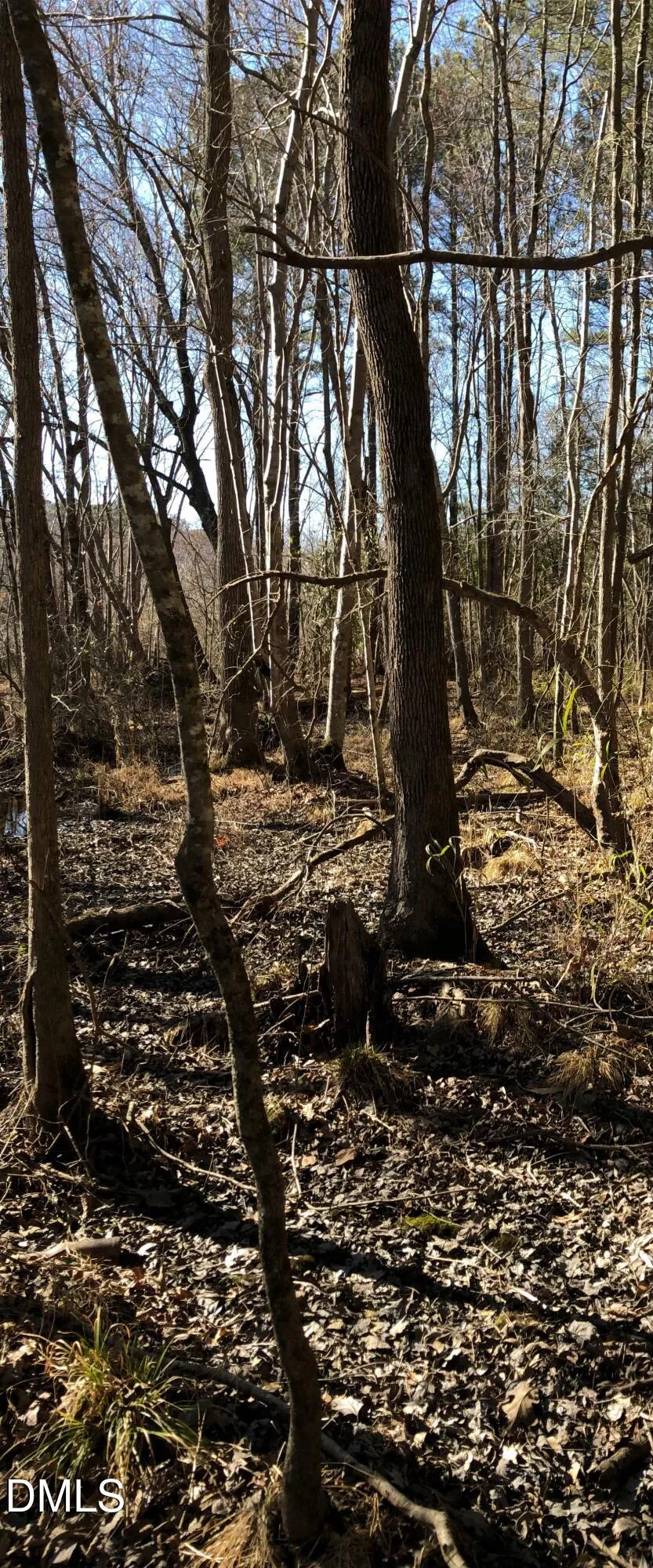 0 Cone Road Middlesex, NC 27557