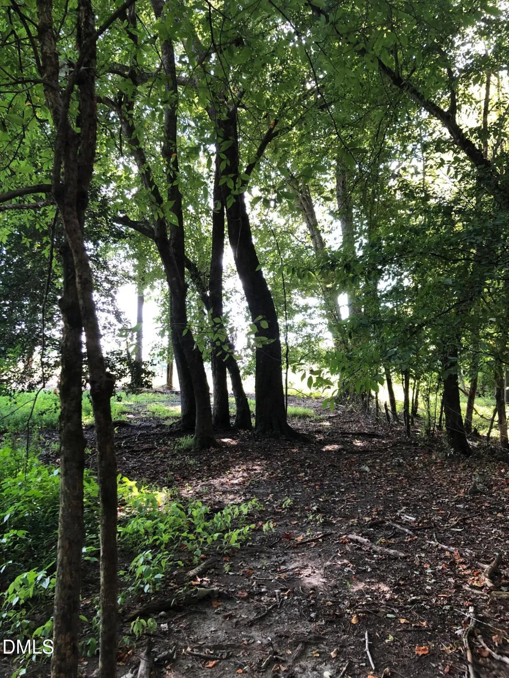 0 Cone Road Middlesex, NC 27557