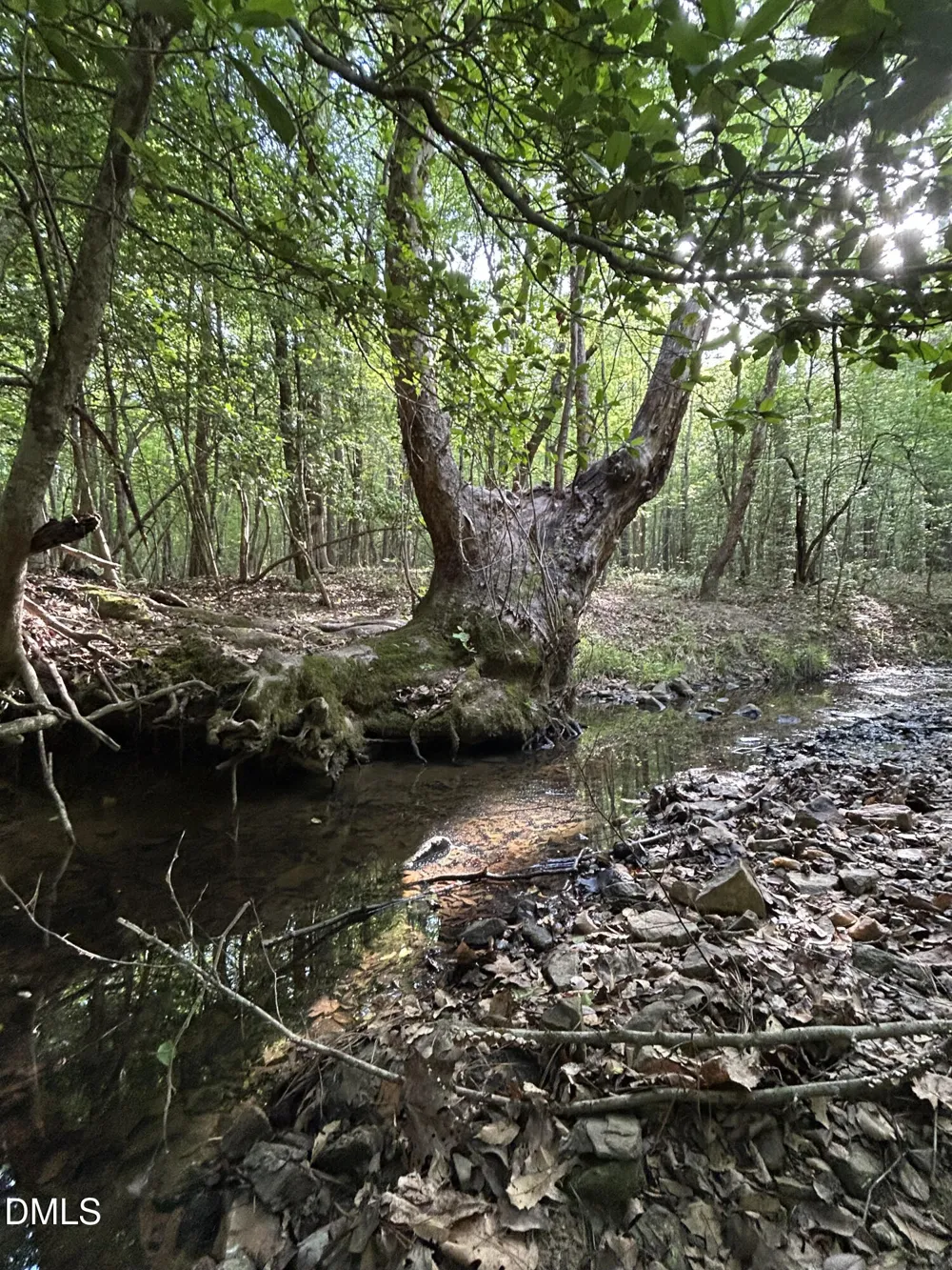0 Beaver Dam Road Creedmoor, NC 27522