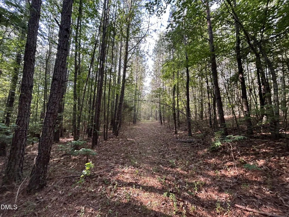 0 Beaver Dam Road Creedmoor, NC 27522