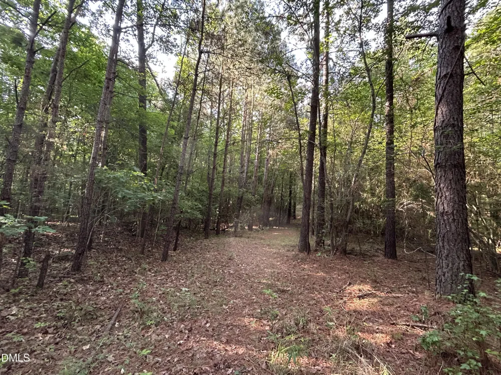0 Beaver Dam Road Creedmoor, NC 27522