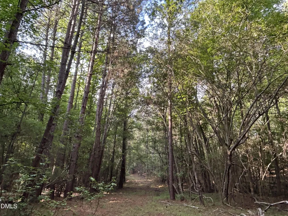 0 Beaver Dam Road Creedmoor, NC 27522