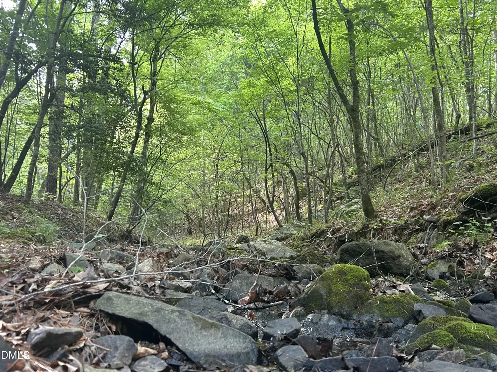 0 Beaver Dam Road Creedmoor, NC 27522