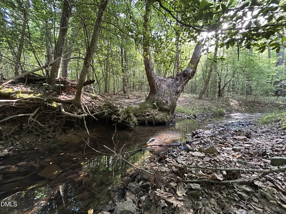 0 Beaver Dam Road Creedmoor, NC 27522
