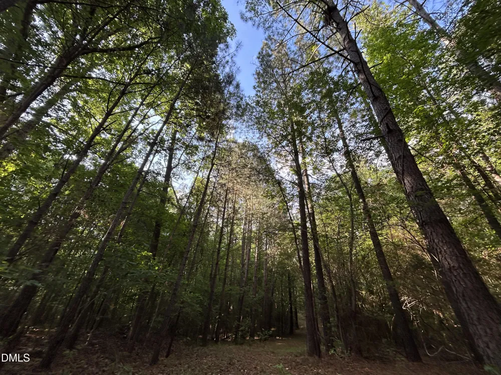 0 Beaver Dam Road Creedmoor, NC 27522