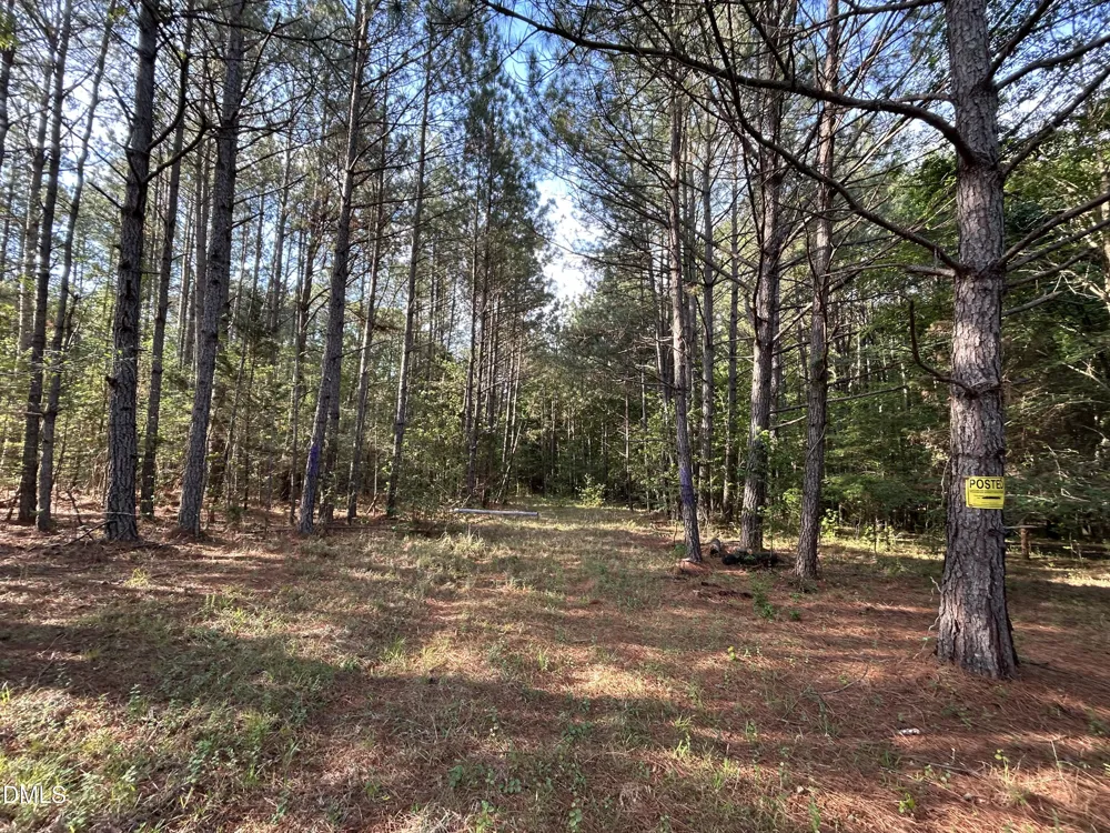 0 Beaver Dam Road Creedmoor, NC 27522
