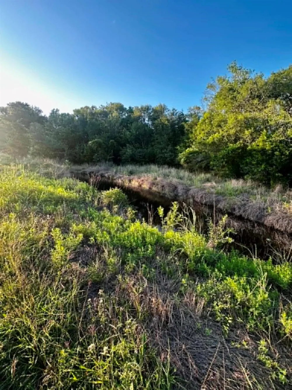 2806 Brushy Road Fayetteville, TX 78940