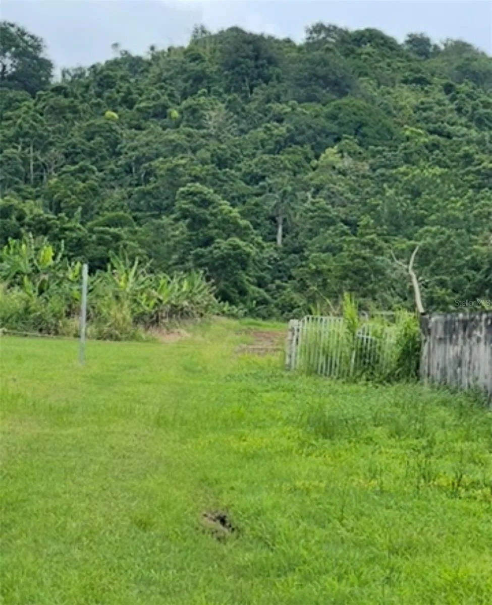 PR 182 KM 3.3 BO. CALABAZAS Yabucoa, PR 00767