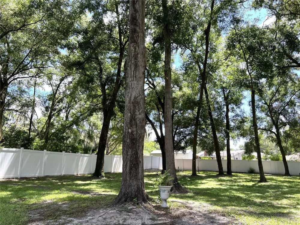 36320 PINEY RIDGE BOULEVARD Fruitland Park, FL 34731