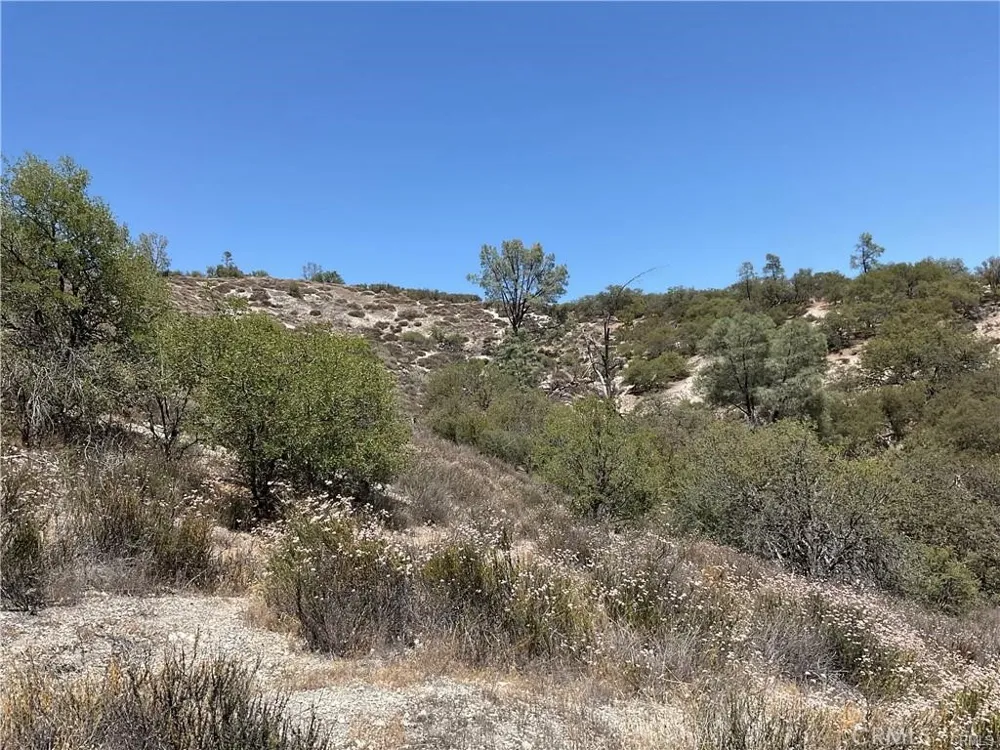 Martinez Lockwood, CA 93932
