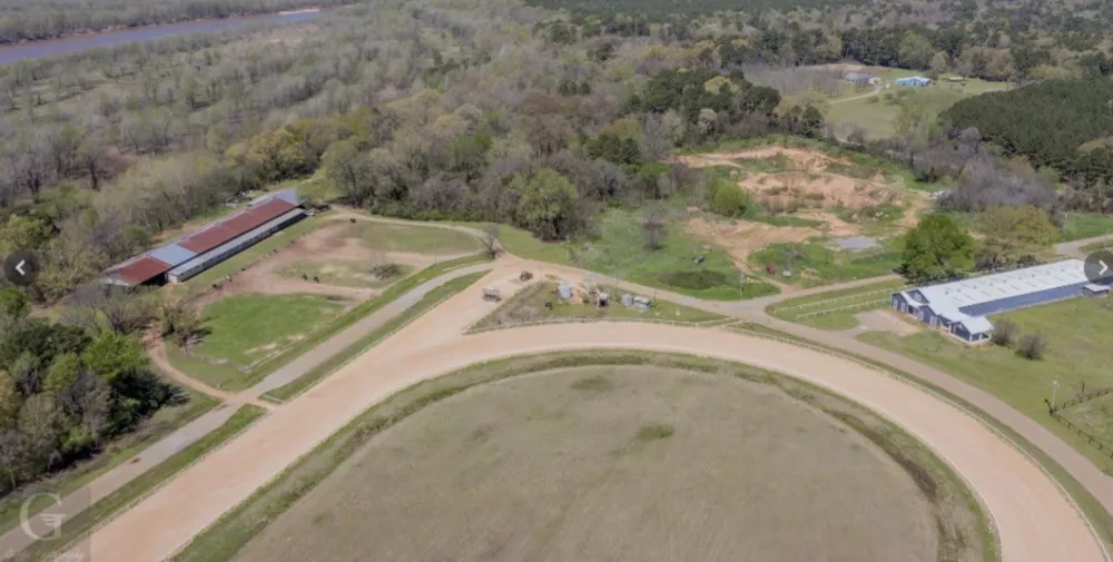 269 Hurricane Bluff Drive Benton, LA 71006