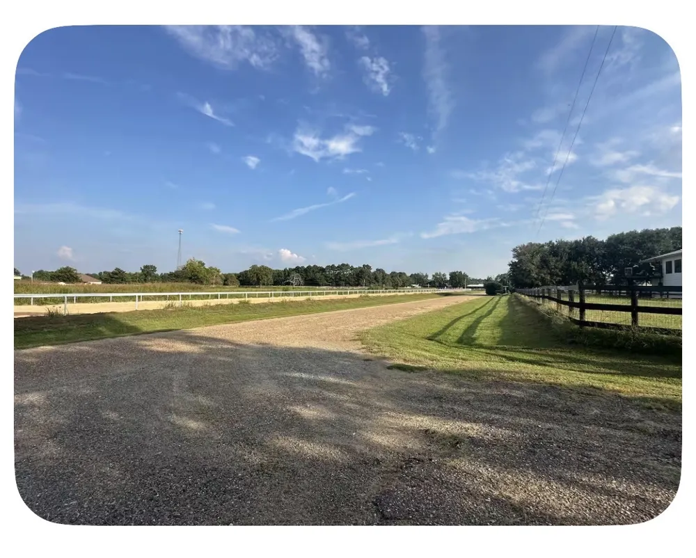 269 Hurricane Bluff Drive Benton, LA 71006
