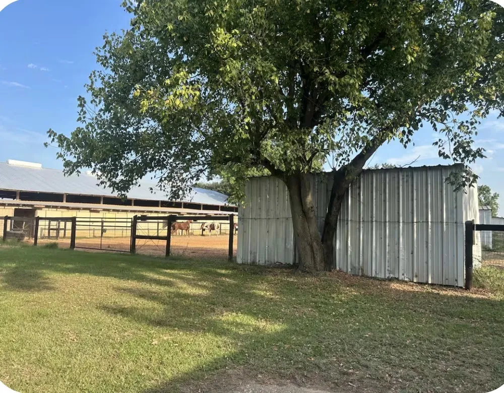 269 Hurricane Bluff Drive Benton, LA 71006