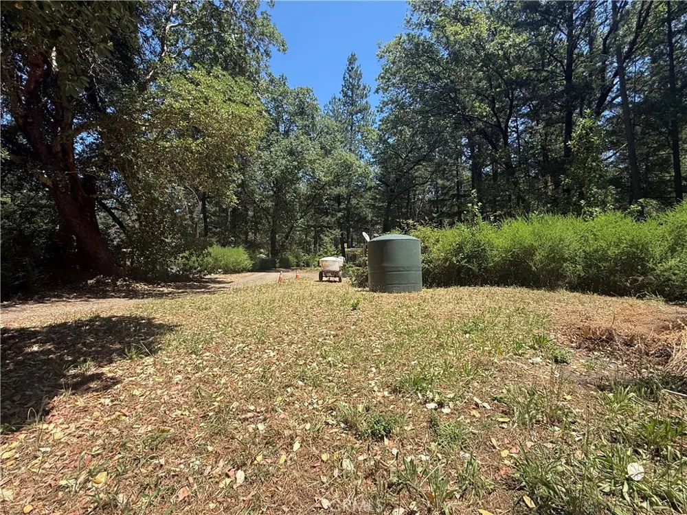 22830 Shady Grove Road Middletown, CA 95461