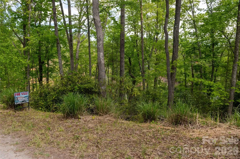 00 Deer Park Lake Road Spruce Pine, NC 28777