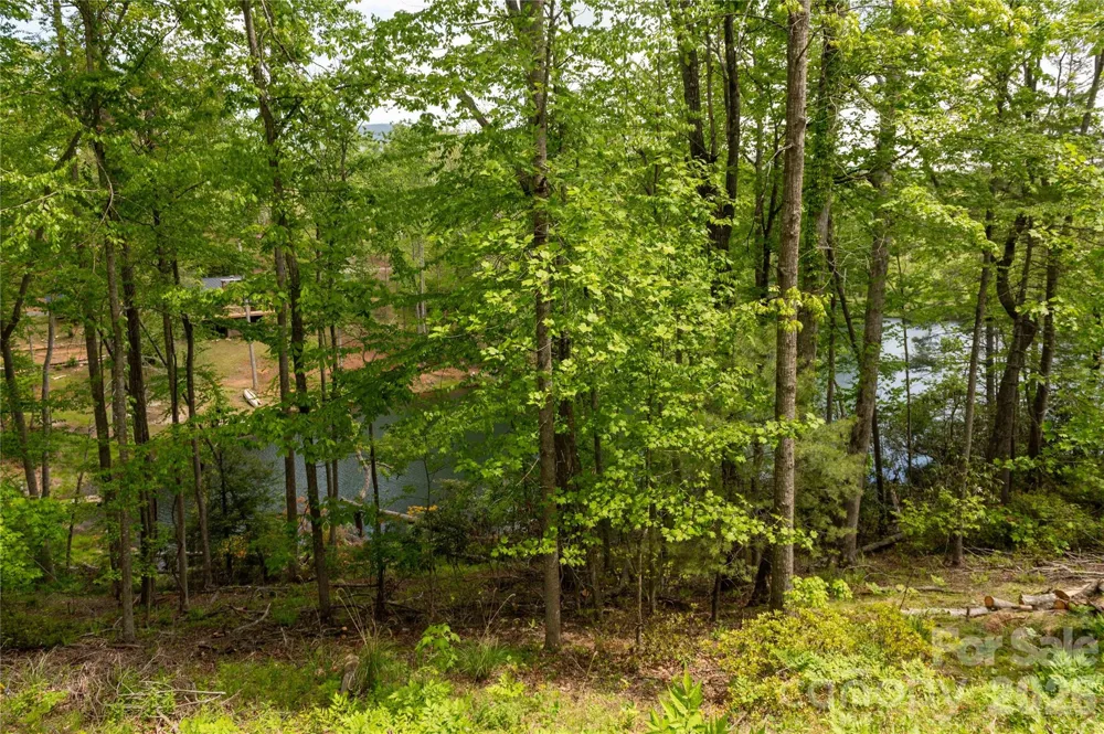 00 Deer Park Lake Road Spruce Pine, NC 28777