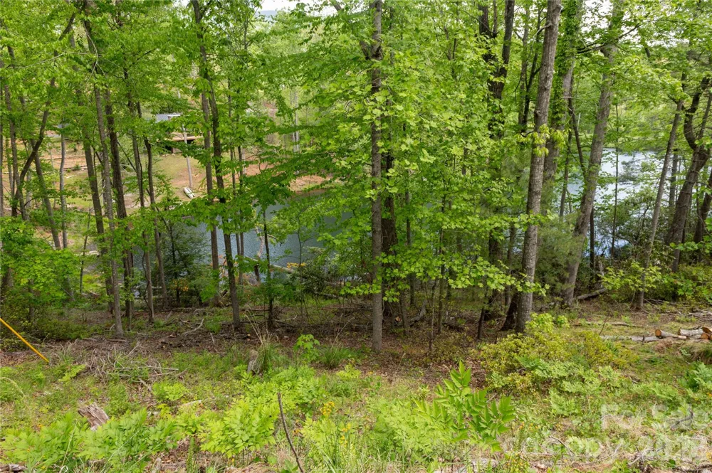 00 Deer Park Lake Road Spruce Pine, NC 28777