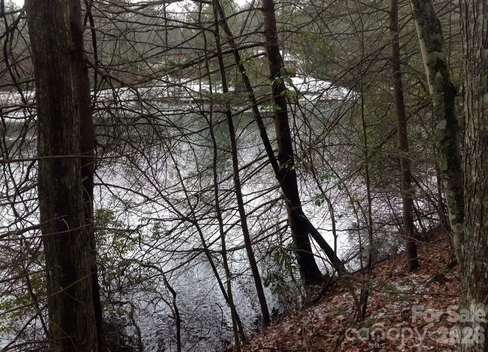 00 Deer Park Lake Road Spruce Pine, NC 28777