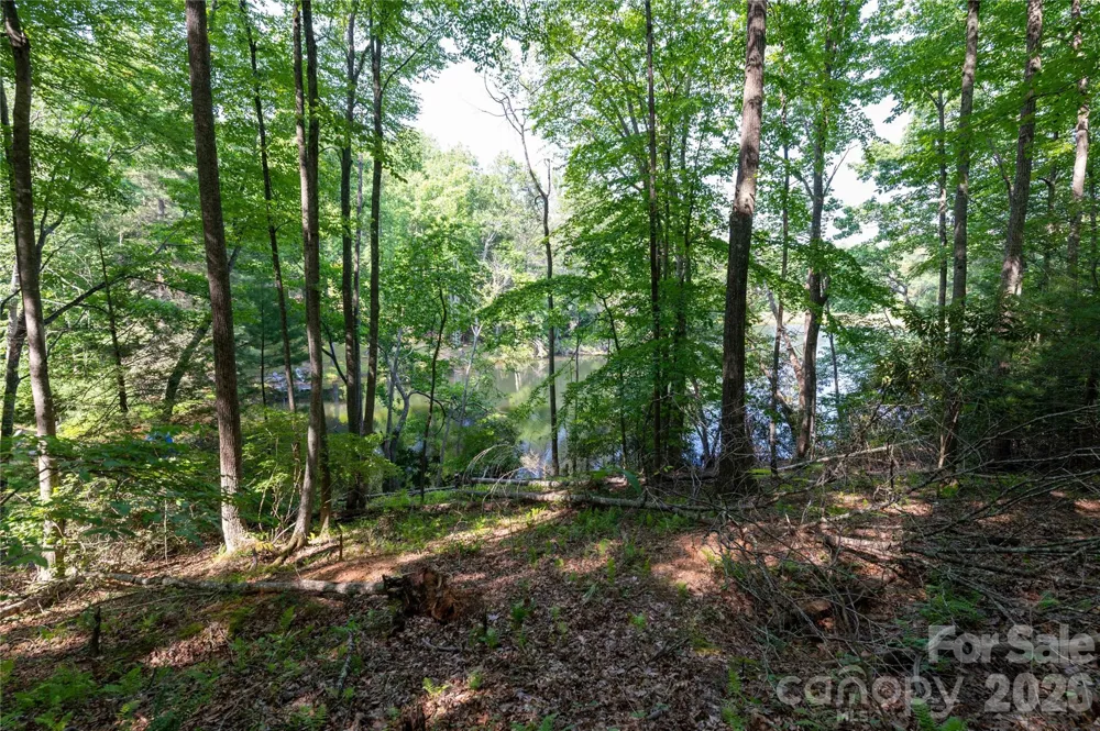 00 Deer Park Lake Road Spruce Pine, NC 28777