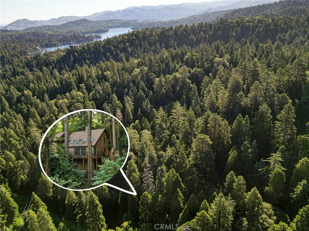 667 Dogwood Cyn Blue Jay, CA 92317
