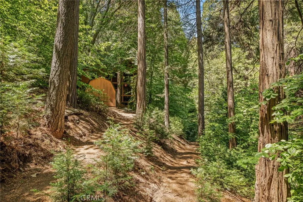 667 Dogwood Cyn Blue Jay, CA 92317