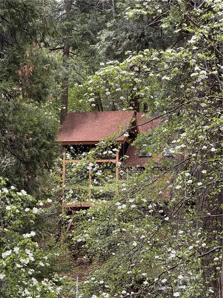 667 Dogwood Cyn Blue Jay, CA 92317