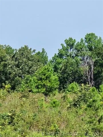 Rural Route Heavener, OK 74947