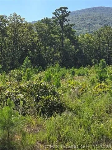 Rural Route Heavener, OK 74947