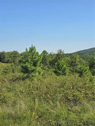 Rural Route Heavener, OK 74947