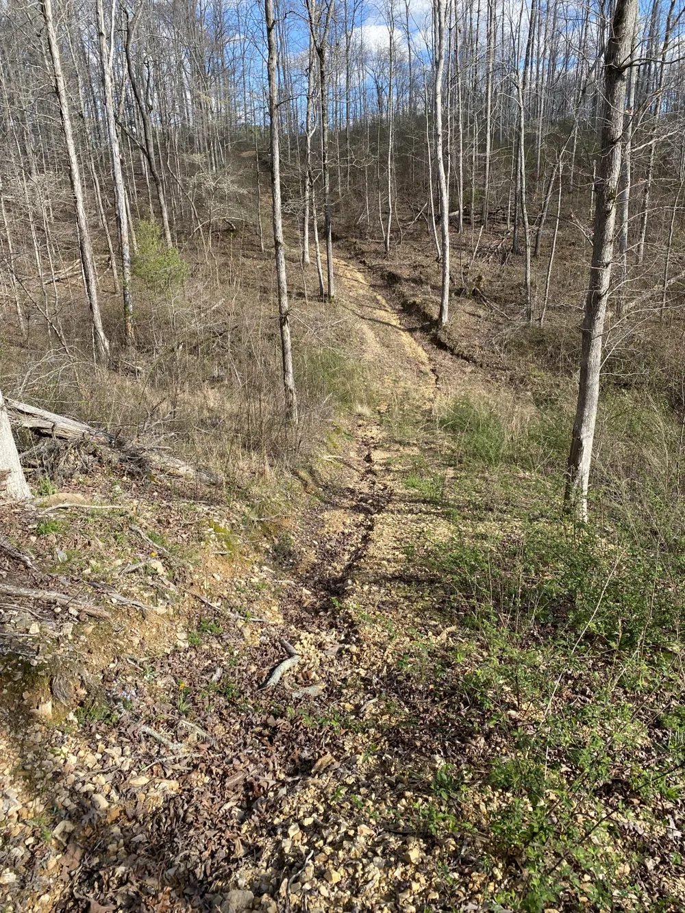 401 Napier Rd Hohenwald, TN 38462