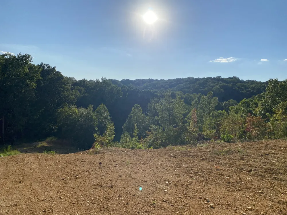 401 Napier Rd Hohenwald, TN 38462