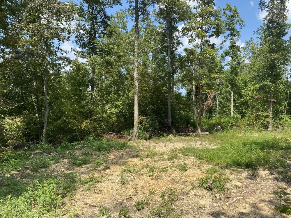 401 Napier Rd Hohenwald, TN 38462