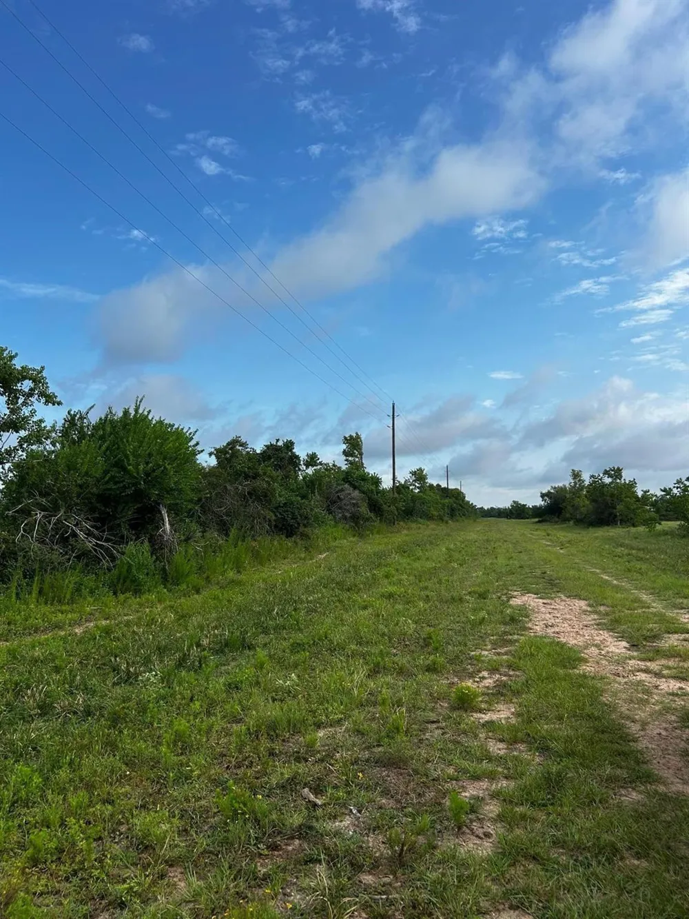 9020 Katy Hockley Road Katy, TX 77493