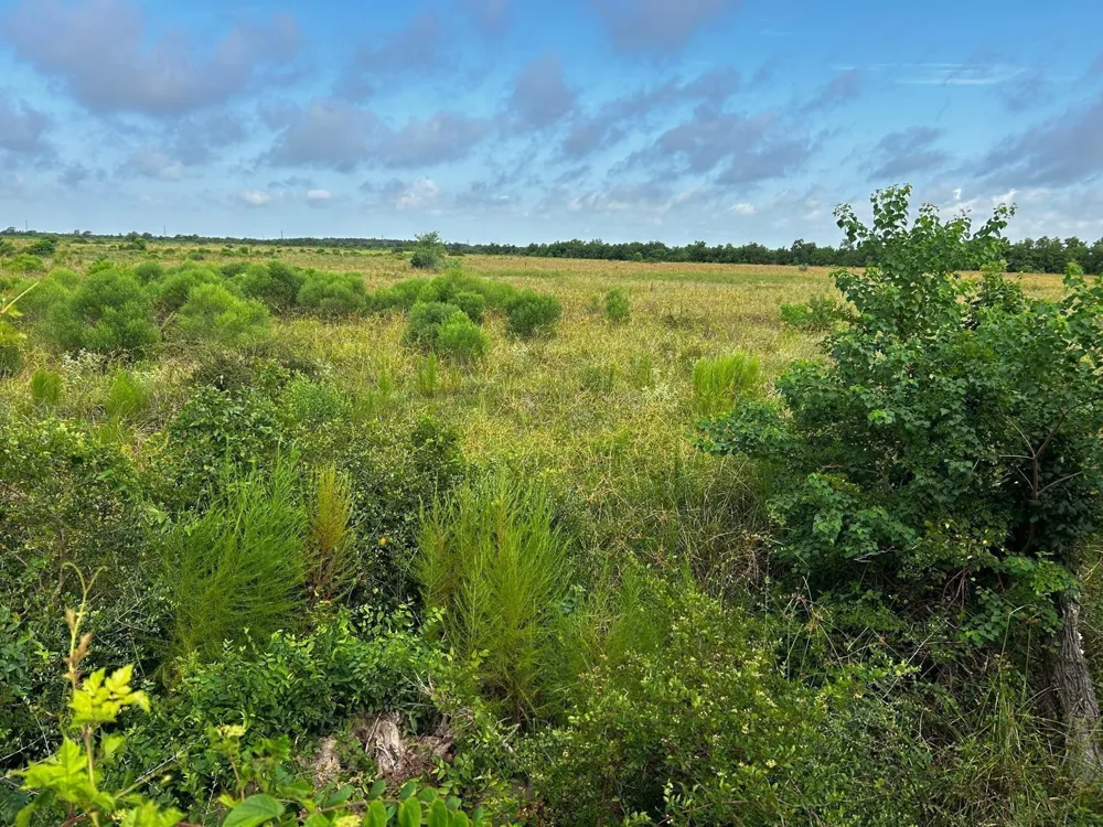 9020 Katy Hockley Road Katy, TX 77493