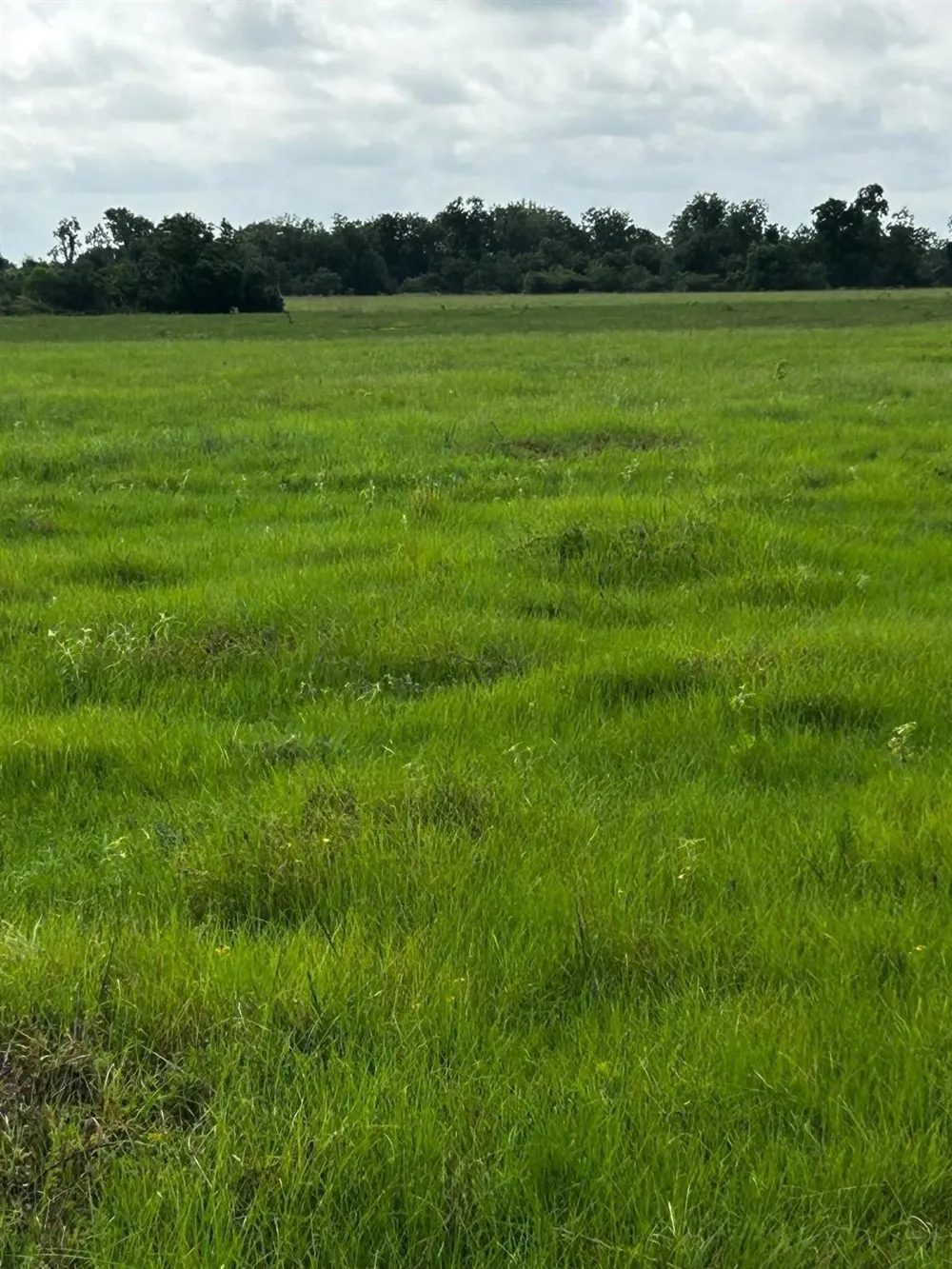 9020 Katy Hockley Road Katy, TX 77493